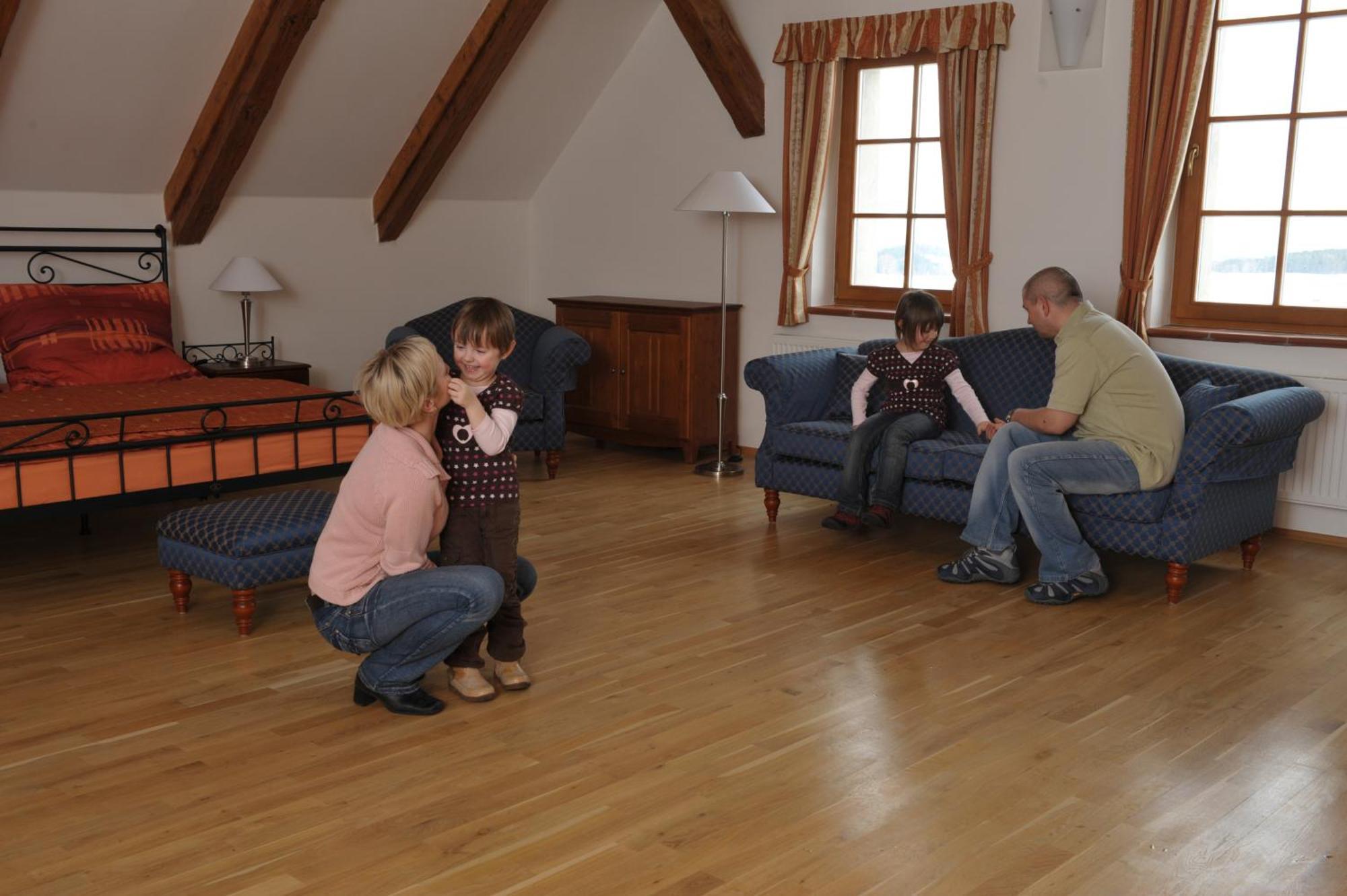 Hotelový a jezdecký areál Dvůr Krutěnice Habitación foto