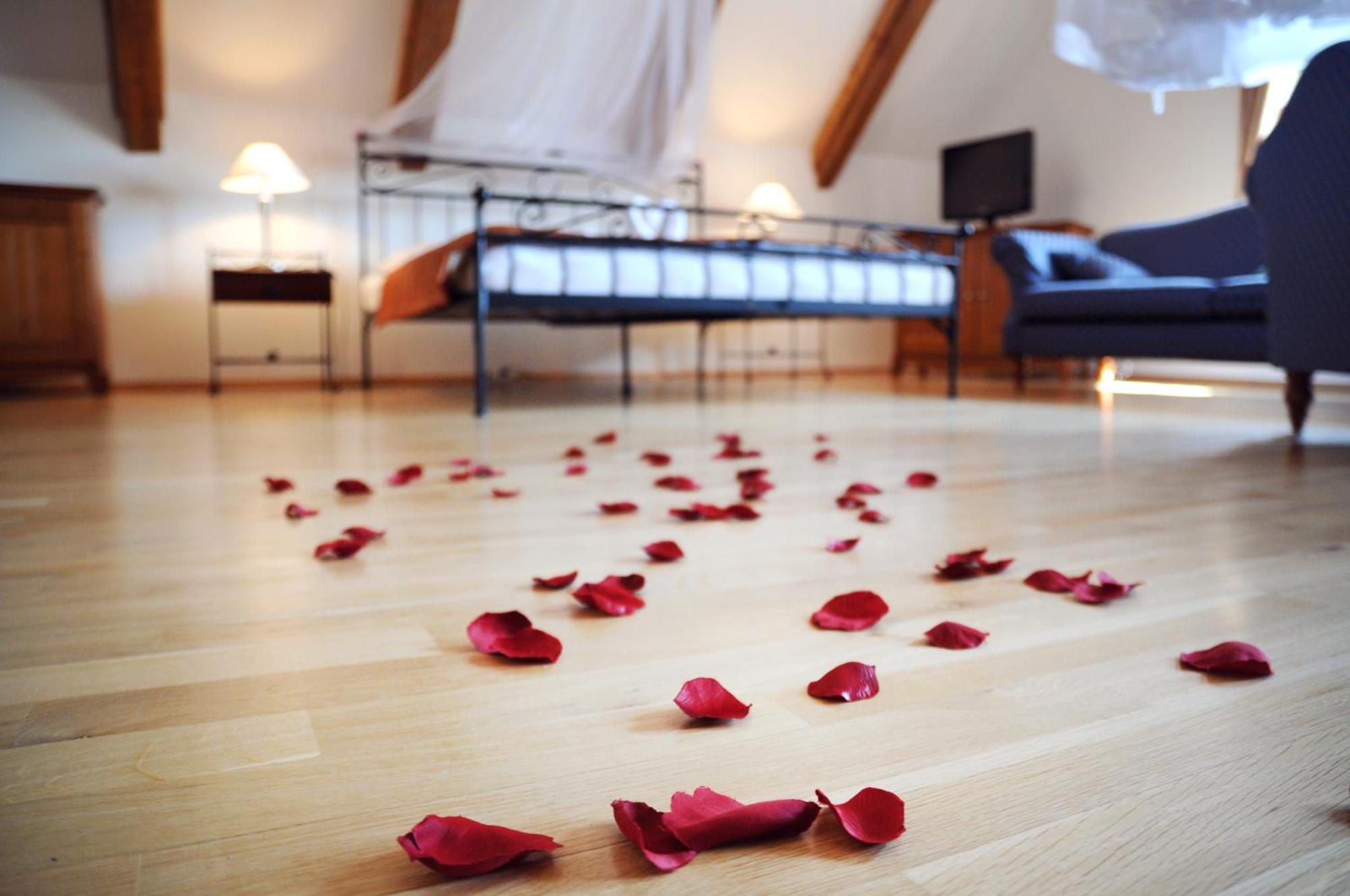 Hotelový a jezdecký areál Dvůr Krutěnice Habitación foto