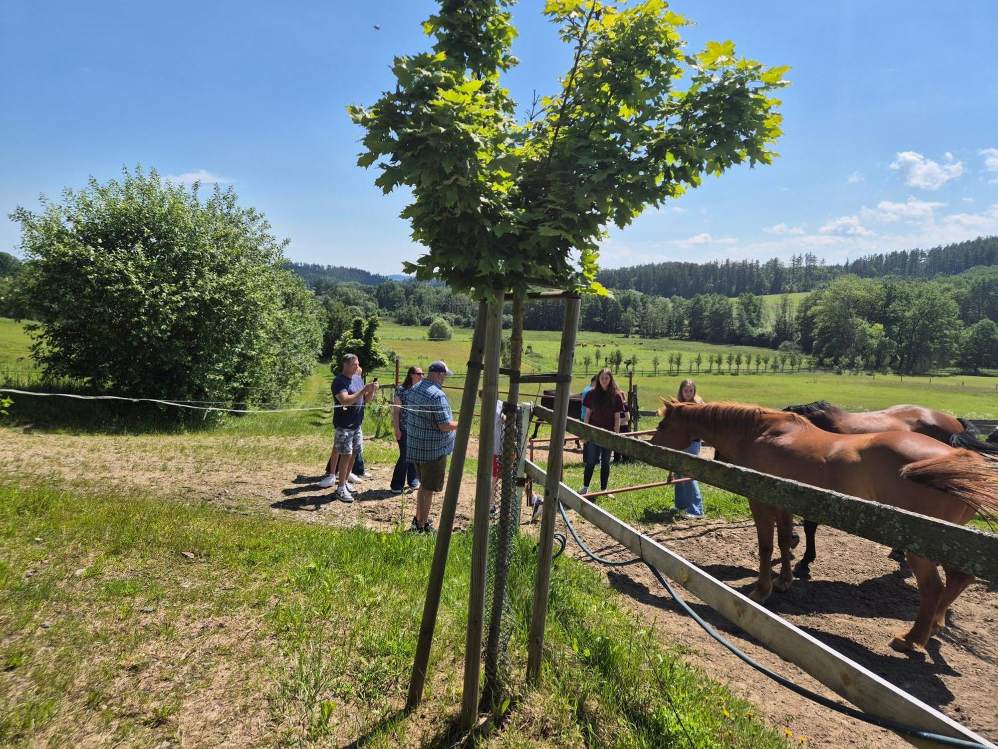 Hotelový a jezdecký areál Dvůr Krutěnice Exterior foto