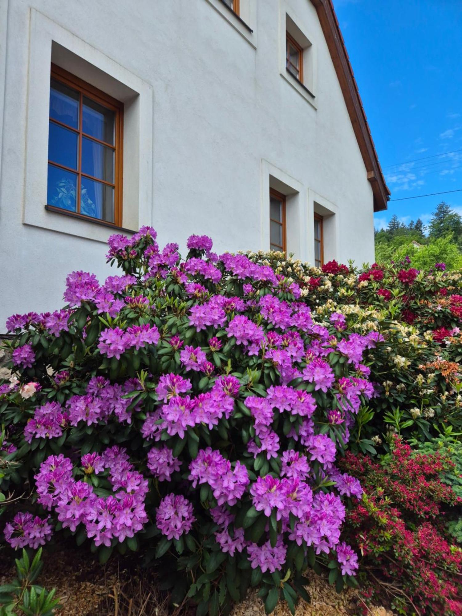 Hotelový a jezdecký areál Dvůr Krutěnice Exterior foto