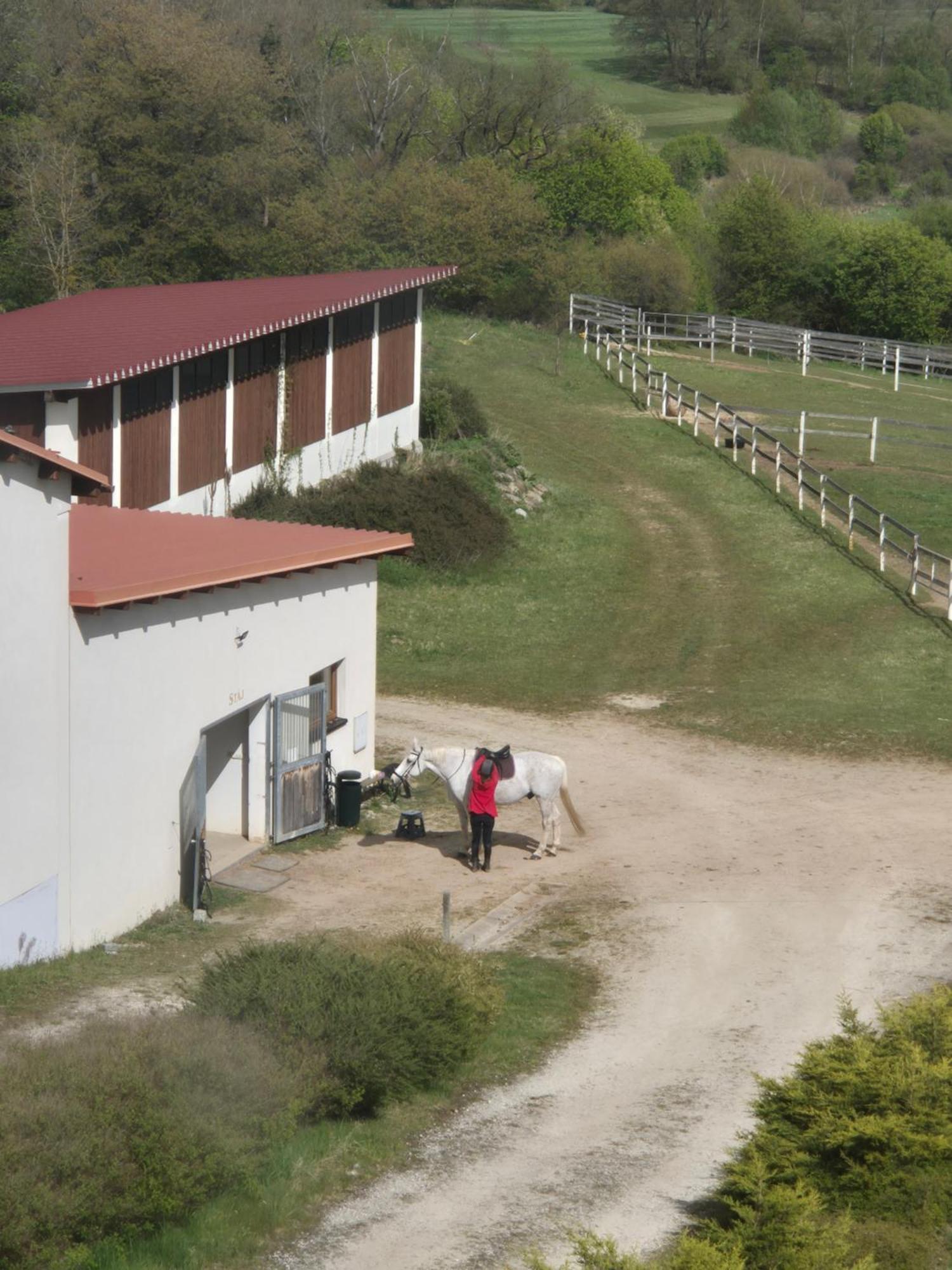 Hotelový a jezdecký areál Dvůr Krutěnice Exterior foto