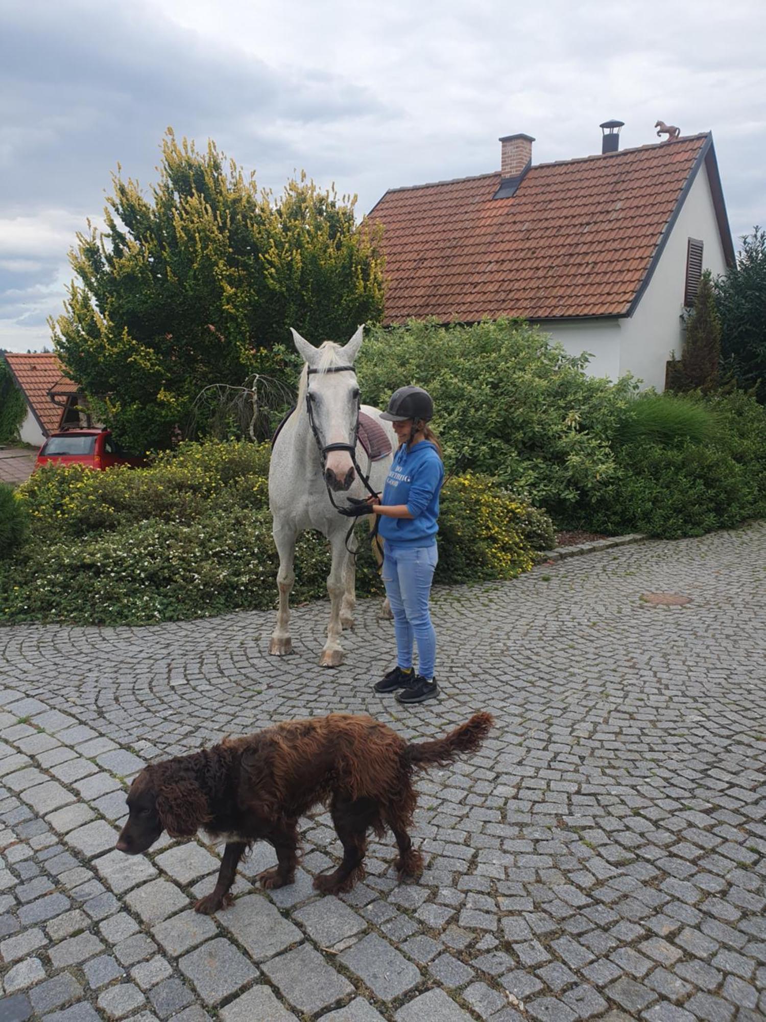 Hotelový a jezdecký areál Dvůr Krutěnice Exterior foto